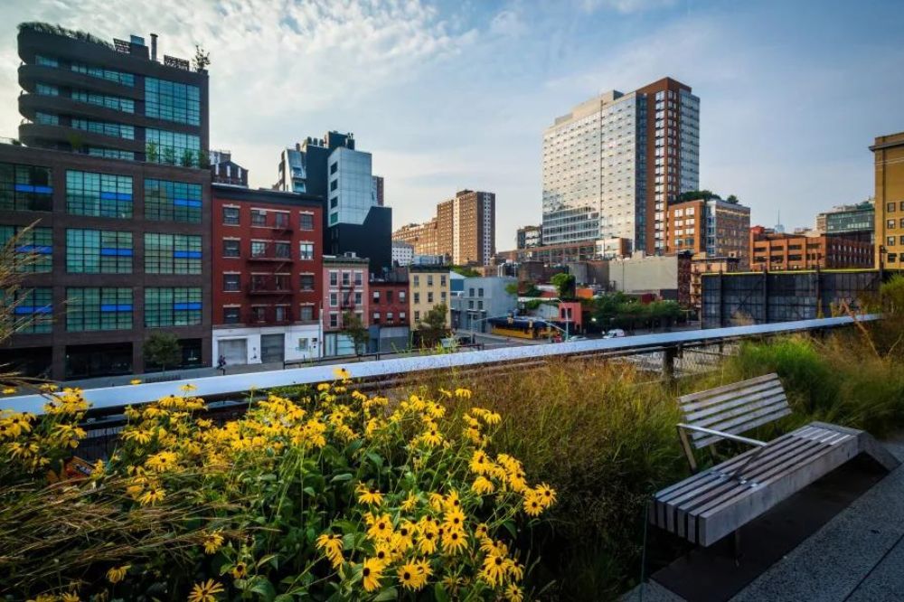 Flowers, Bench, And View Of Buildings In Chelsea